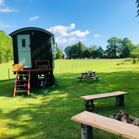The Big Green Shepherds Hut Charlwood Extérieur photo