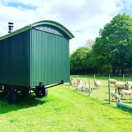 The Big Green Shepherds Hut Charlwood Extérieur photo